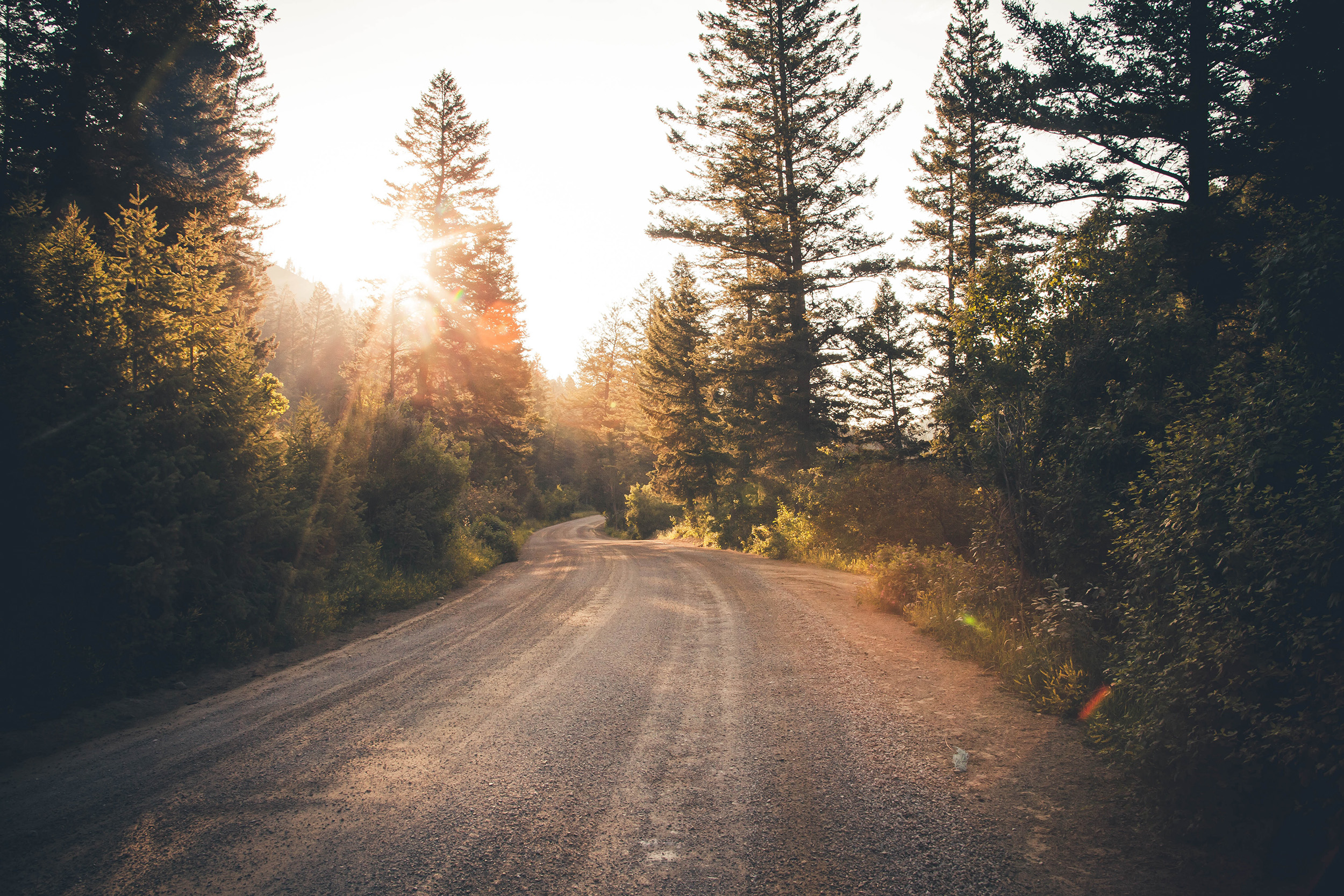 Mood_Kategorie_Wald2