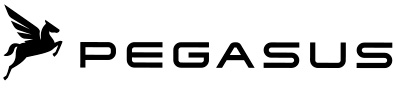 Pegasus Logo_NEU-2024